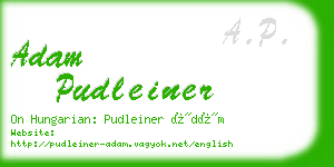 adam pudleiner business card